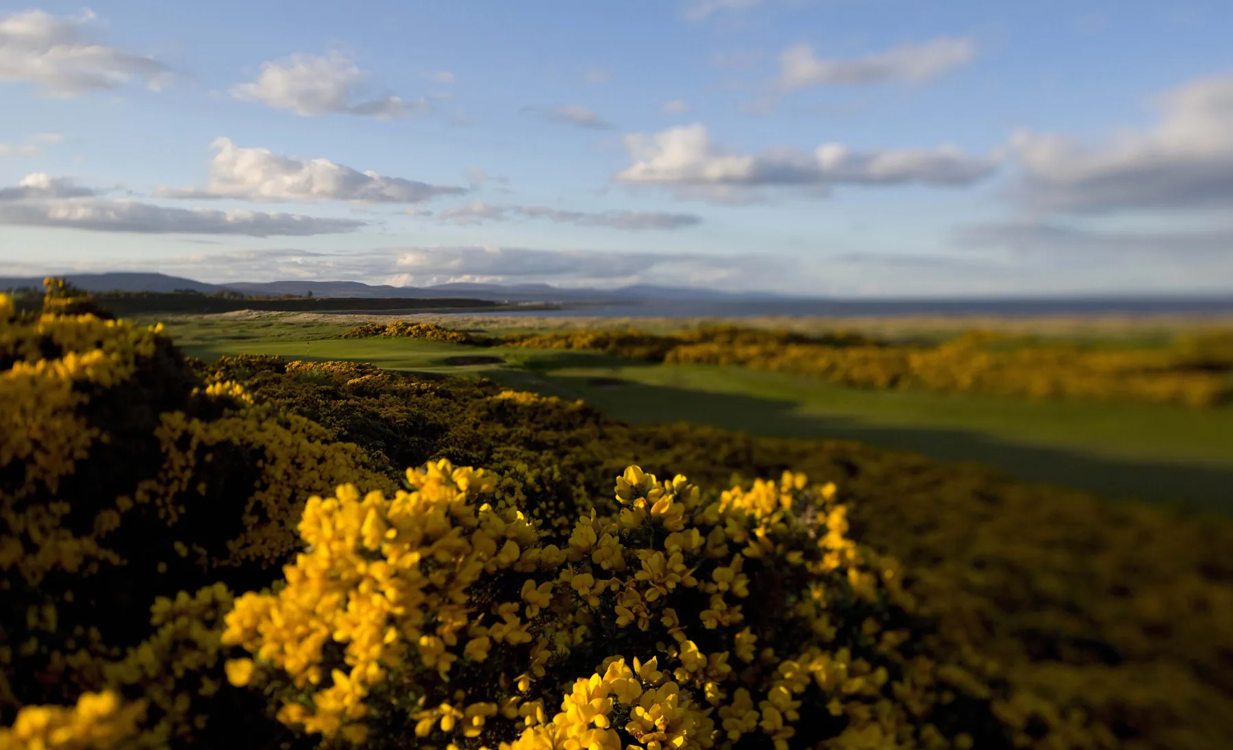 Royal Dornoch · Championship 17th hole · © M. Harris