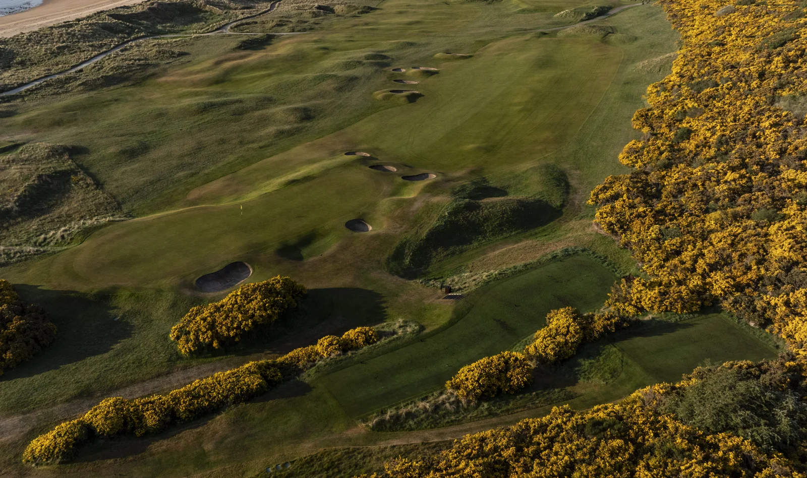 Royal Dornoch · Championship 5th hole · © M. Harris